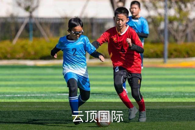 云顶国际公司简介